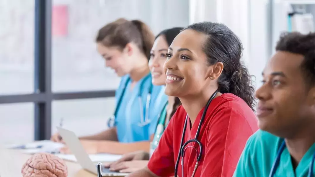 Online Nursing Courses