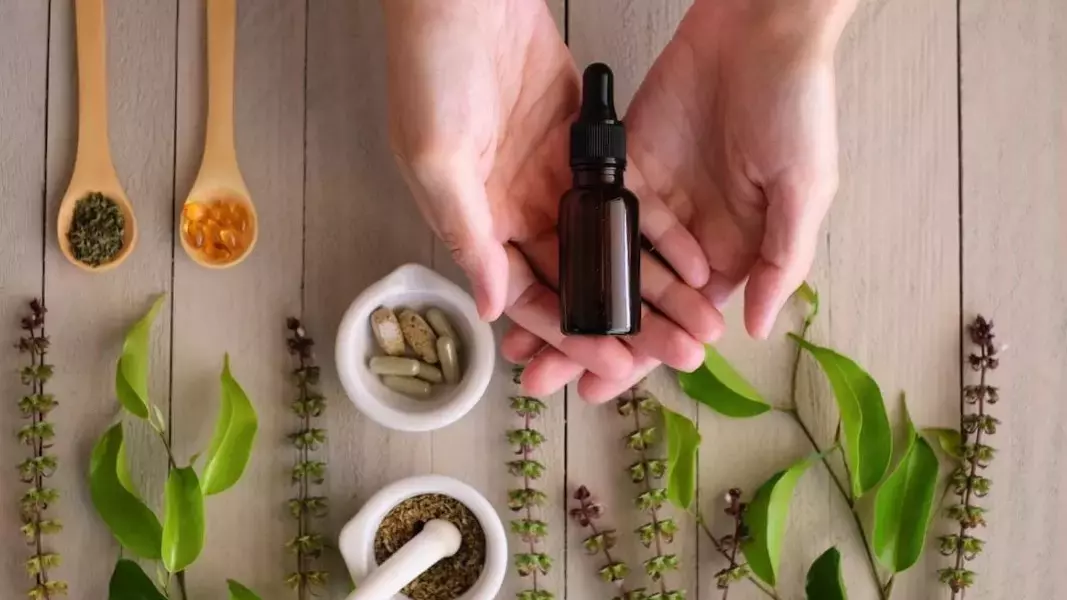 Formation Naturopathe: Devenir Expert en Médecine Naturelle