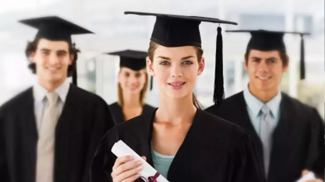 business and management degree