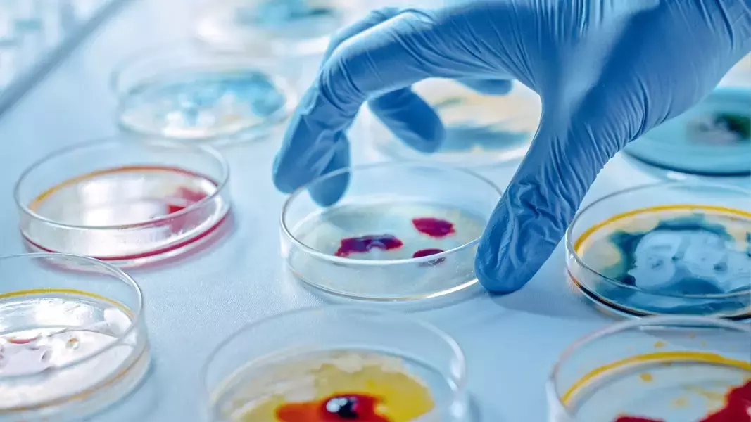 Formation microbiologie à distance