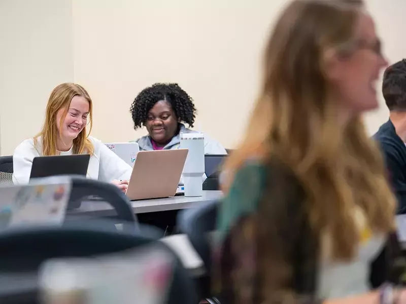 Mental Health Counseling Courses: An Overview