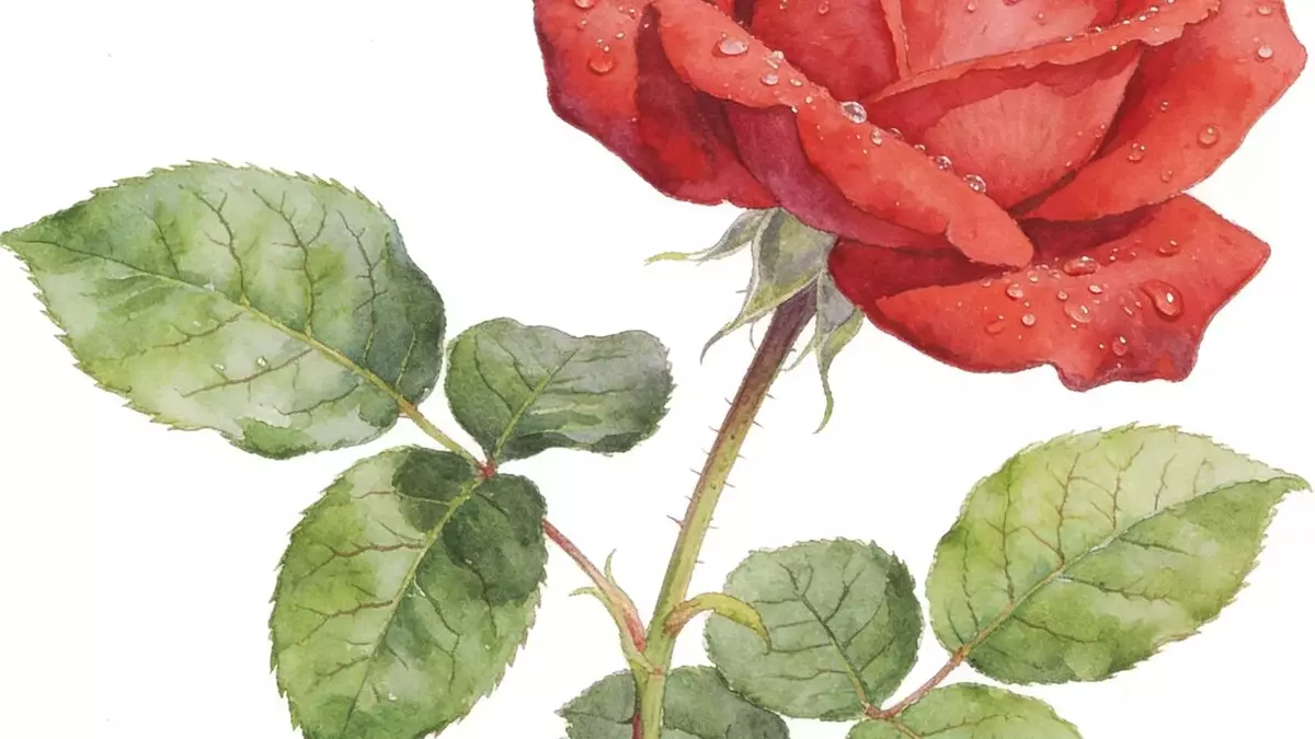 Technical Analysis of Botanical Illustration: Scientific Accuracy, Materials, and Methodologies