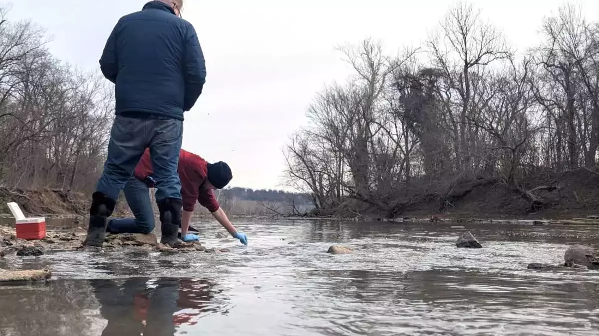 Environmental Crisis: Potomac River Suffers Massive Sewage Spill