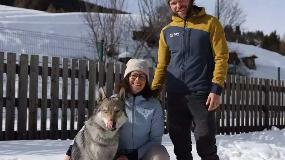 Nazgul, the Wolfdog, Becomes Unlikely Olympic Sensation in Italy