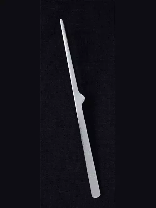 The Unexpected Kitchen Tool Revolutionizing Home Cooking