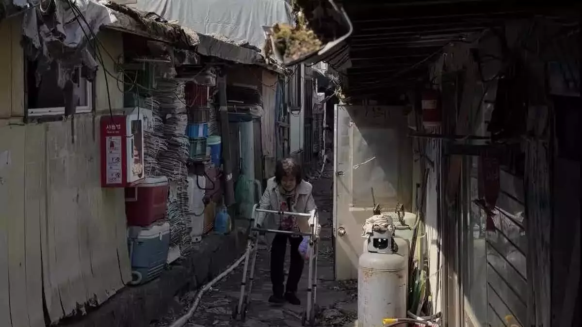 Squatters' Resilience in Seoul's Affluent Gangnam