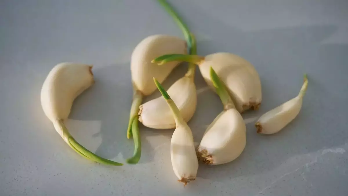 Mastering Garlic Preservation: Essential Storage Techniques for Optimal Flavor and Health Benefits