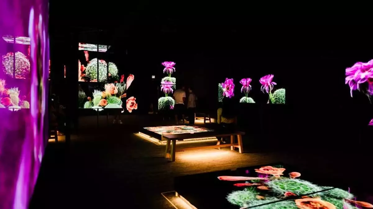 3D Scans Unveil Sonoran Desert's Hidden Life, Informing Conservation Efforts