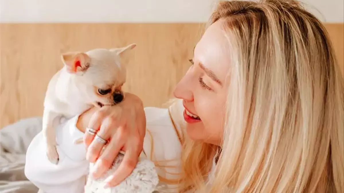 Understanding and Managing Your Dog's Nibbling Behavior