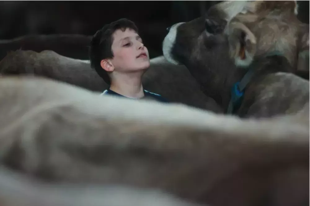 “Gabin” Review: A French Farm Boy's Decade-Long Journey to Adulthood