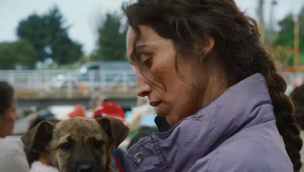 Female Canines and Auteurs Shine at Palm Dog Awards