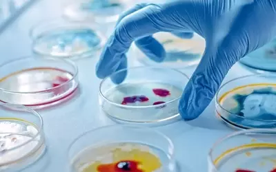 Formation microbiologie à distance
