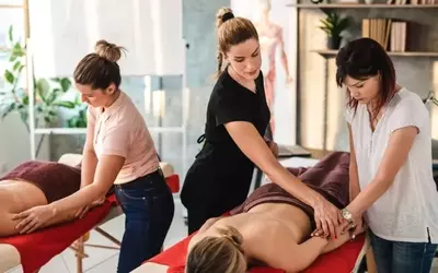 Exploring Massage Therapy Schools: A Path to Healing and Career Success
