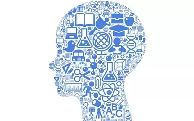 Quick Guide to Online Courses