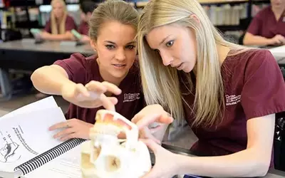 Unlock a Flexible Healthcare Career: Your Step-by-Step Guide to a Dental Hygienist Degree
