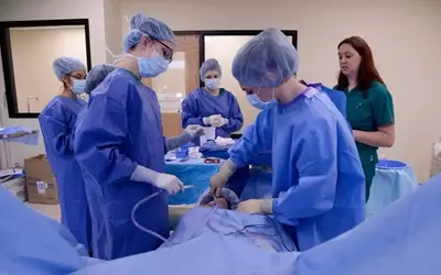 Surgical Technologist Course: Training, Requirements, and Career Outlook