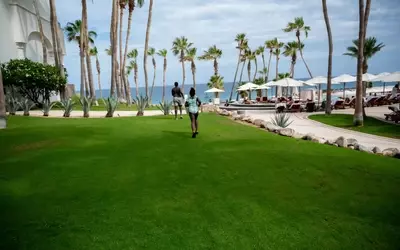 Healing Through Travel: Honoring a Loved One's Legacy in Los Cabos