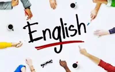 A Guide to Language Courses: Core Components, Course Types, and Learning Pathways