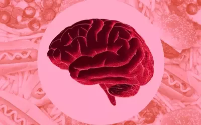 The Impact of Ultra-Processed Foods on Brain Health: A New Review