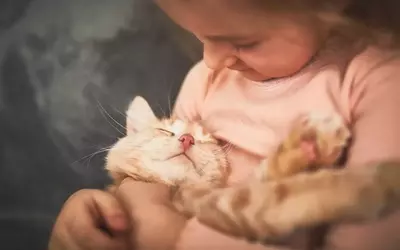 From Feline Focus to Family Harmony: A Parent's Journey with Pets and Child