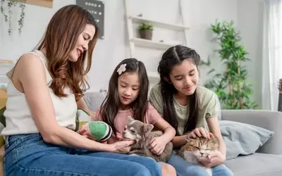 Evolving Parental Approaches: The 'Cat vs. Dog' Philosophy