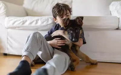 The Journey of Welcoming a Pet: Addressing a Child's Desire for Companionship
