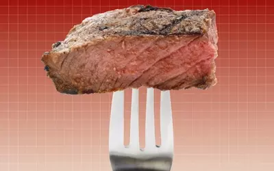 Understanding the Carnivore Diet: A Critical Review of Health Impacts