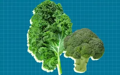 Top Winter Vegetables for a Mediterranean Diet