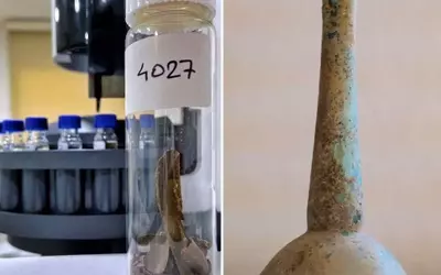Ancient Roman Bottle Contained Feces, Likely for Medical Use