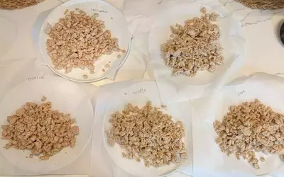 The Ultimate Guide to Safely and Effectively Thawing Chicken