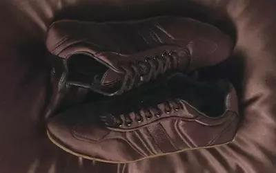 The Allure of Satin Sneakers: A Spring Fashion Essential