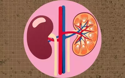 The Impact of Dark Sodas on Kidney Health