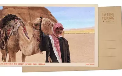 Wadi Rum Blooms: A Desert Transformed by Winter Rains