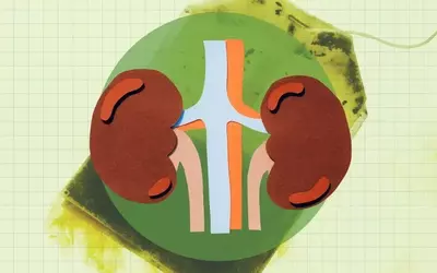 Green Tea: A Potent Ally for Kidney Wellness