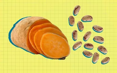 Carbohydrates That Aid in Visceral Fat Reduction