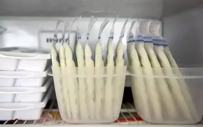 Understanding and Managing High Lipase in Breast Milk