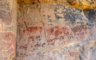 Prehistoric Culinary Sophistication Revealed