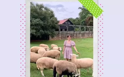 Scary Mommy's 2026 Readers' Choice Awards for Premier Farm Stays Revealed