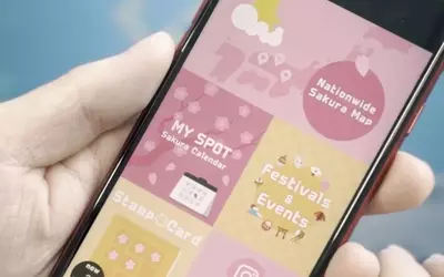 AI Revolutionizes Cherry Blossom Forecasts in Japan