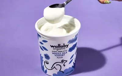 The Ultimate Guide to Greek Yogurt: Unveiling the Best Brands