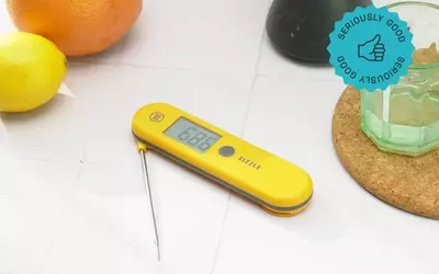 The Sizzle Instant-Read Thermometer: A Review