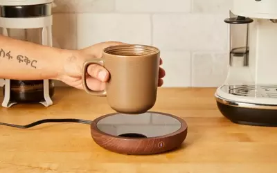 Essential Kitchen Gadgets: Elevate Your Cooking Experience