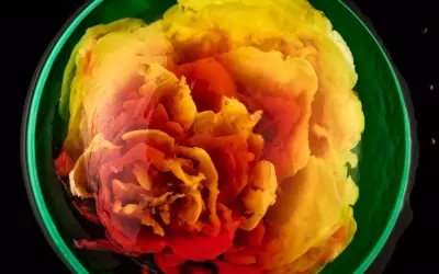 The Art of Jelly: Thu Buser's Edible Masterpieces