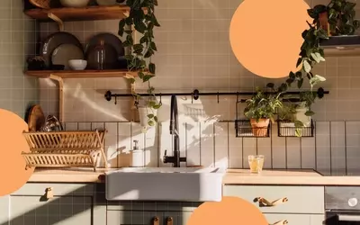 Expert-Recommended Kitchen Essentials for Every Home Cook