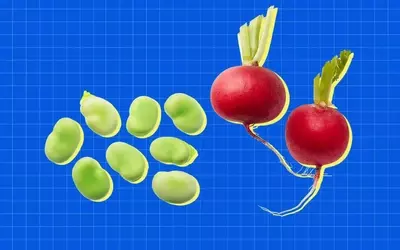 Spring's Bounty: Essential Mediterranean Diet Foods for April