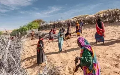 Africa's Great Green Wall: A Grand Vision Facing Formidable Hurdles