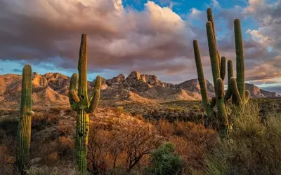 Tucson: The Southwest's Unsung Gem for Travelers