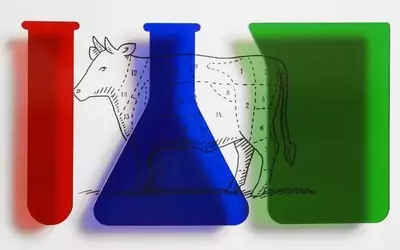 Cell-Cultivated Delicacies: The Future of Fine Dining