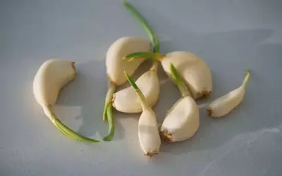 Mastering Garlic Preservation: Essential Storage Techniques for Optimal Flavor and Health Benefits