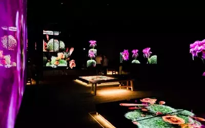 3D Scans Unveil Sonoran Desert's Hidden Life, Informing Conservation Efforts